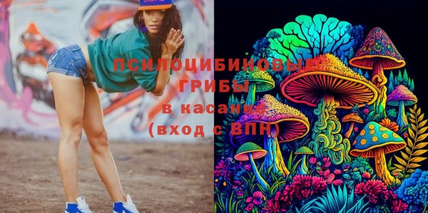 тгк Алексеевка