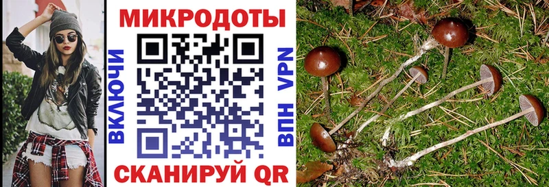 blacksprut маркетплейс  Ленинск-Кузнецкий  Галлюциногенные грибы ЛСД  даркнет сайт 